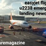 easyjet flight u2238 emergency landing newcastle
